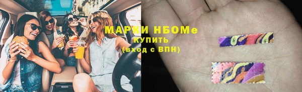 трава Карпинск