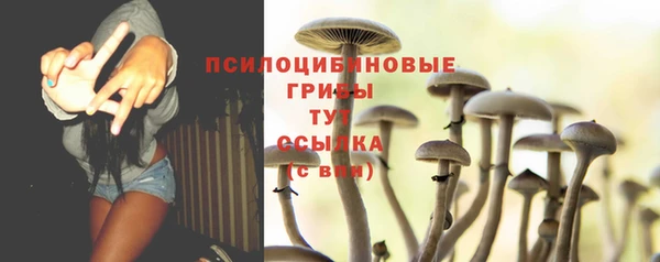 гидропоника Фурманов