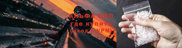 трава Карпинск