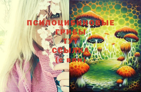 прущая мука Карталы