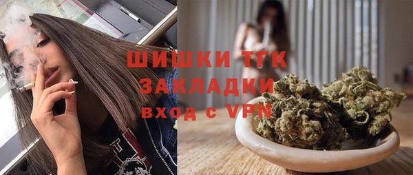 трава Карпинск